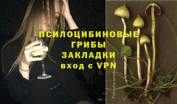 бошки Балахна